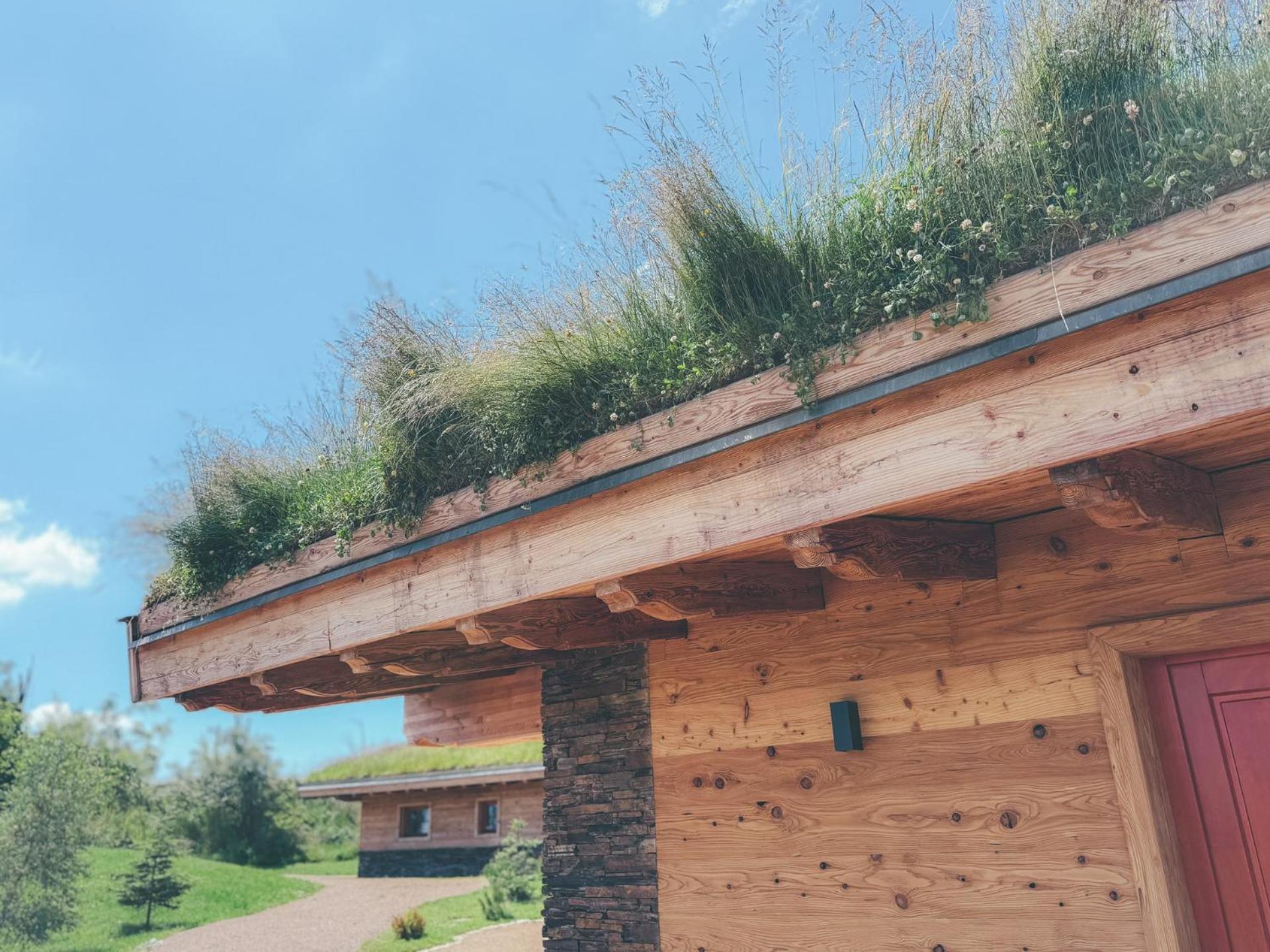 Chalets Resort Cínovec Eksteriør billede