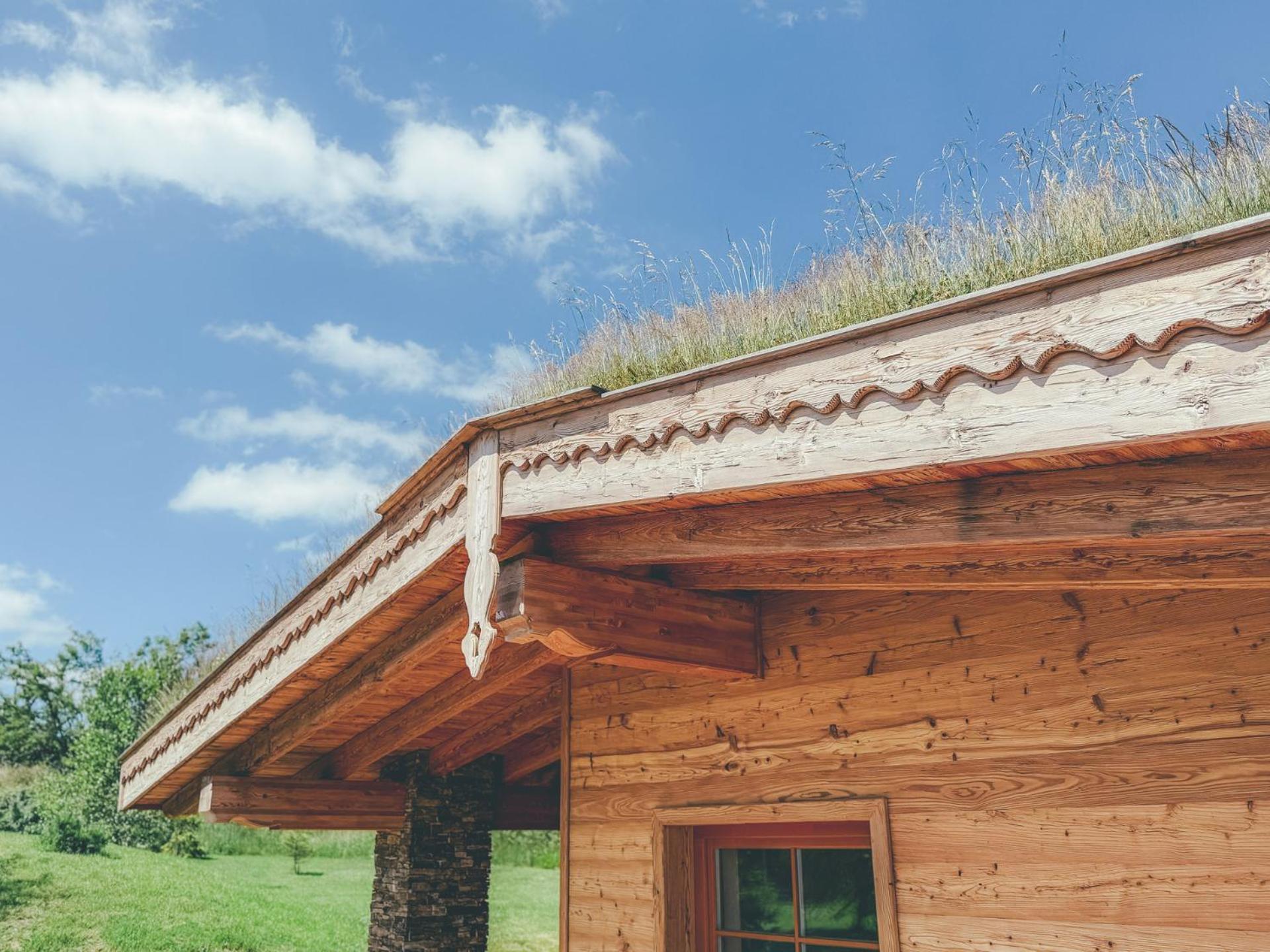 Chalets Resort Cínovec Eksteriør billede